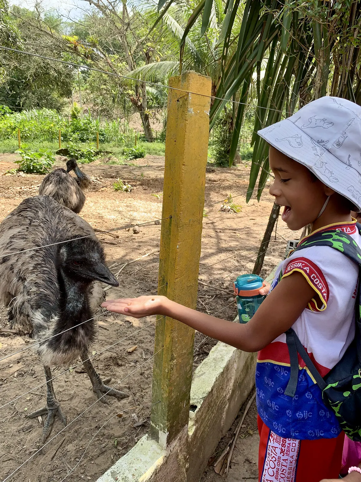 Criança observando um animal durante um passeio.